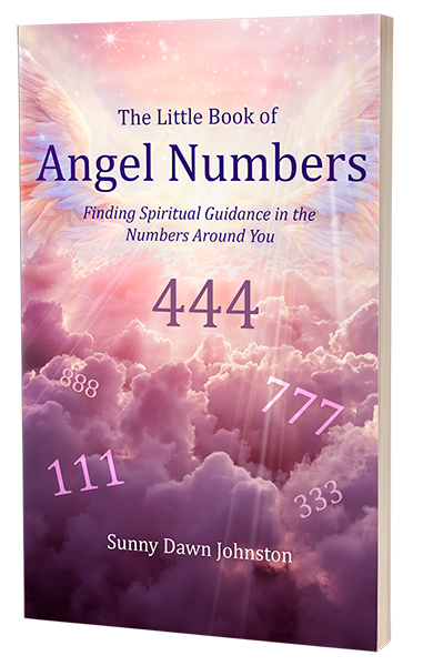 The Little Book of Angel Numbers – SOL Shoppe